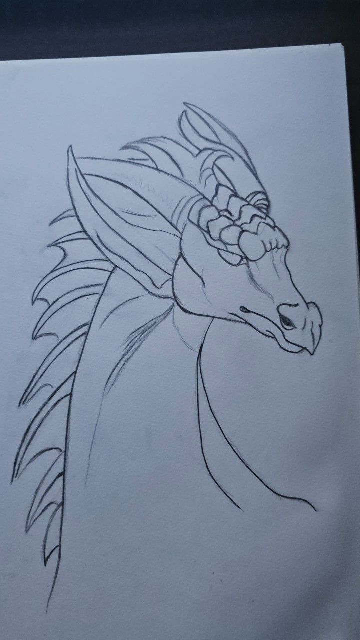 A Dragon Drawing