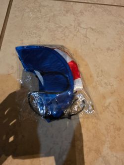 Independence day dog costume