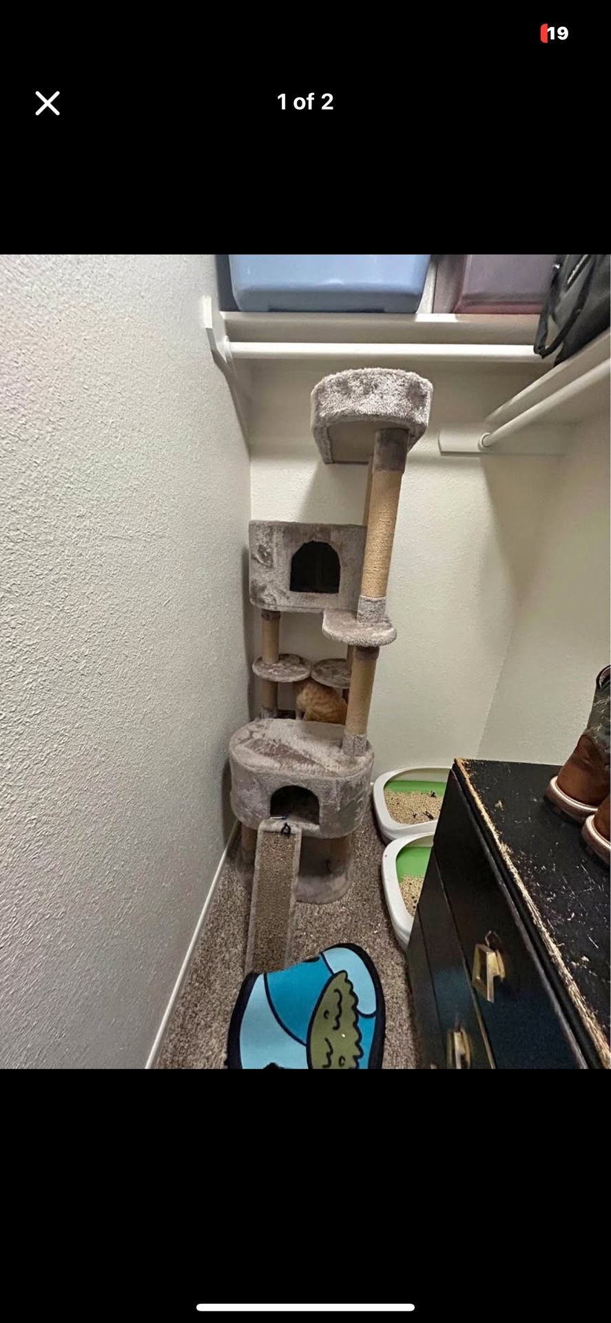 Big Cat Tree Clean Good Condition