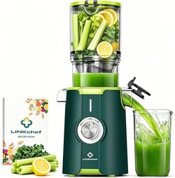 Cold Press Juicer Machine(brand new)