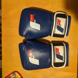 Fighting Force Leather Bag Gloves

