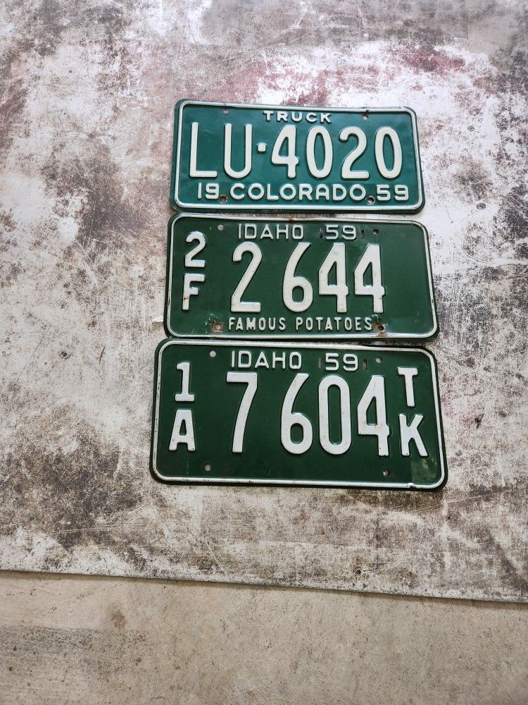 59 License Plates