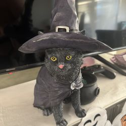 Light Up Cat Halloween Decor