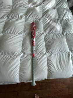 Marucci