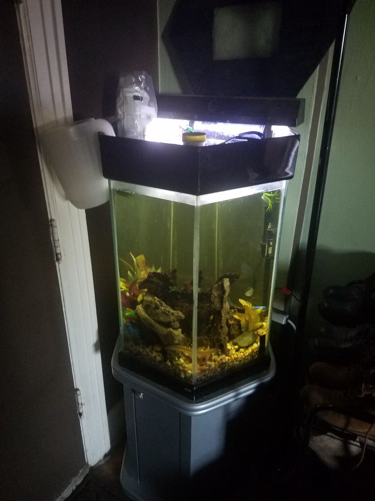35 gallon hexagon aquarium for in WA - OfferUp