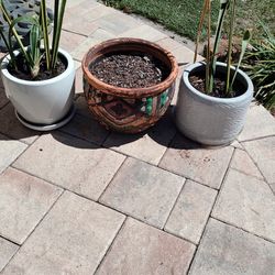 Three Garden Flower Pots Package Deal