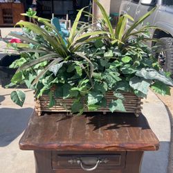 Fake Decor Plant 