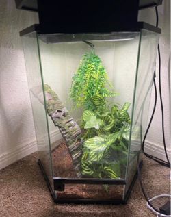 20 Gallon Reptile Tank