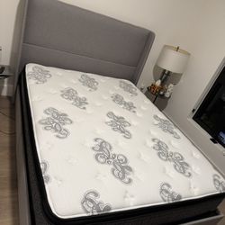 Queen Bed Frame And mattress