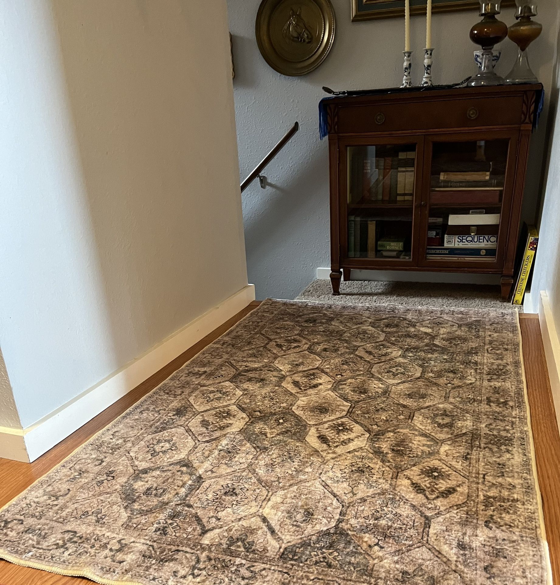 Brand New Pretty Rug