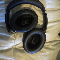 Bosé Quiet Comfort (brand New) 