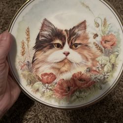 Cat Display Plate 