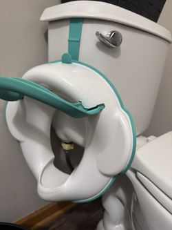 Potty Training Seats (2)