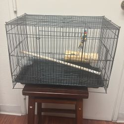 Black Bird Cage 