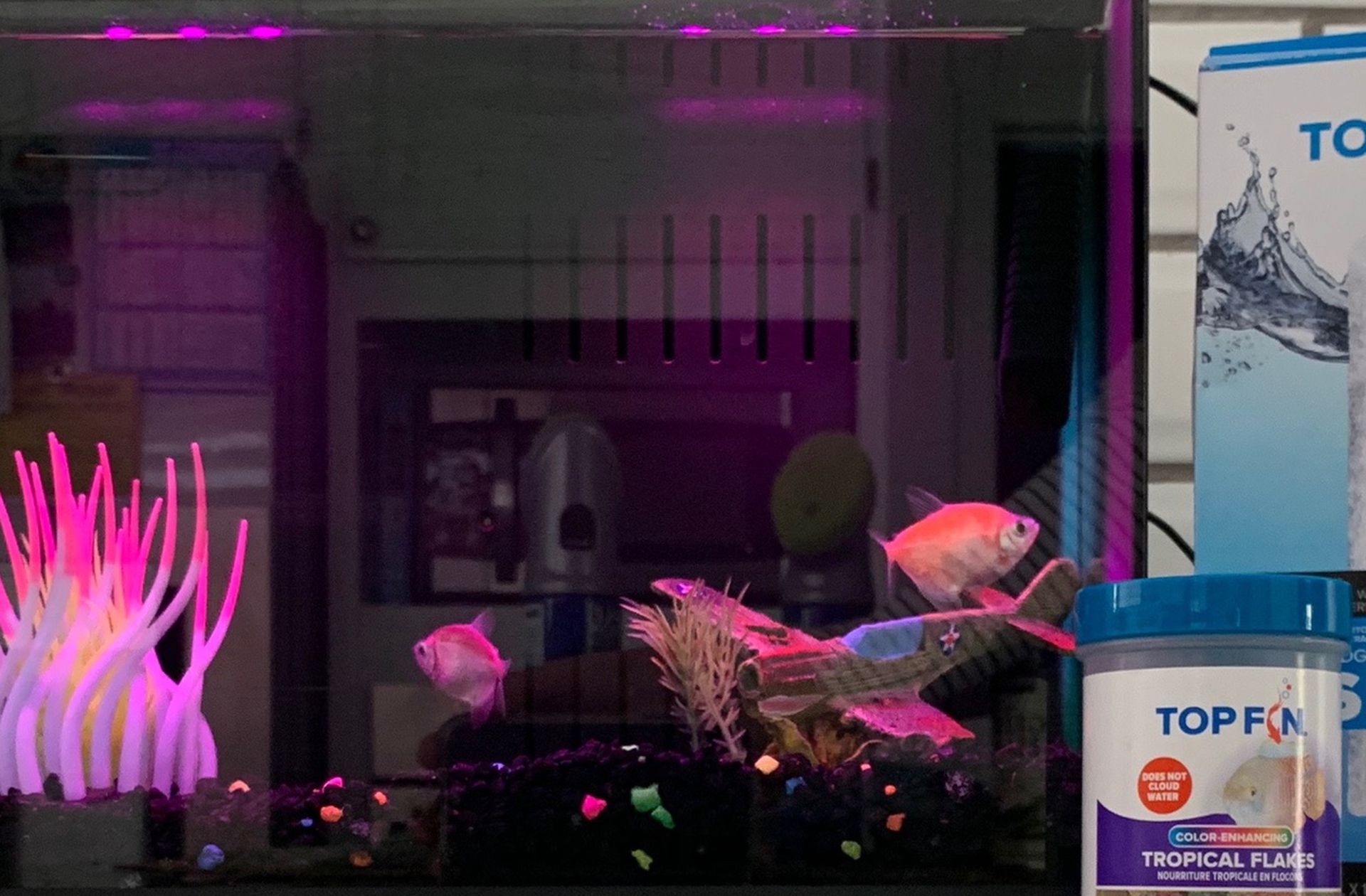 Glow Fish, Tank and Accessories