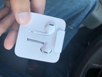 Apple Earbuds