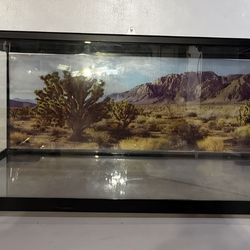 Thrive 12x12x30 terrarium