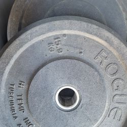 Rogue 35lbs Bumper Weights