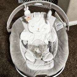 Baby Bouncer