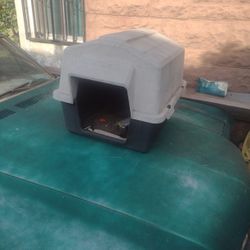Dog House 