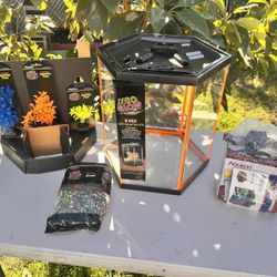 8 gallon hexagon fish tank/ neon fish tank