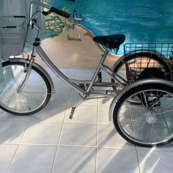 Adult Tricycle 
