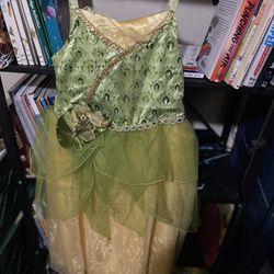 The Frog And The Princess Disney Dress