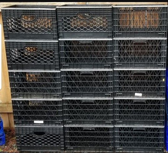 Storage Containers