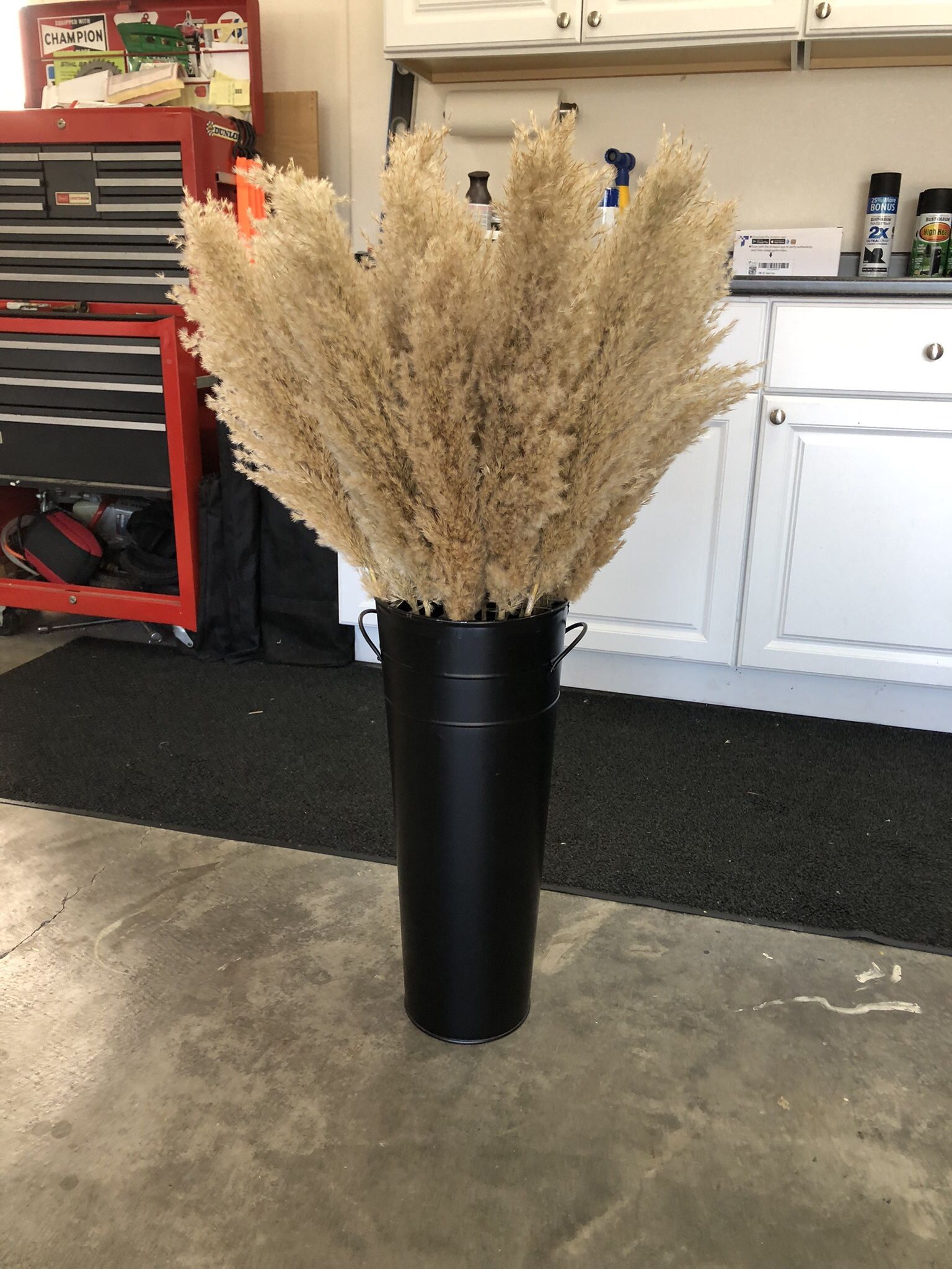 15 Stems- 35” Pampas Grass 