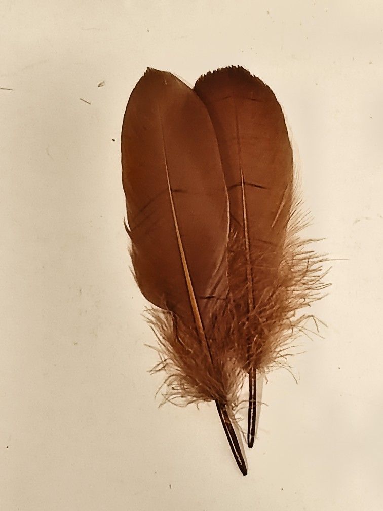 Feathers