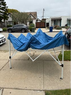 Large Tent/Canopy