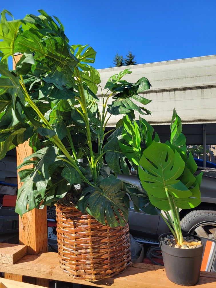 Faux Monstera Plants
