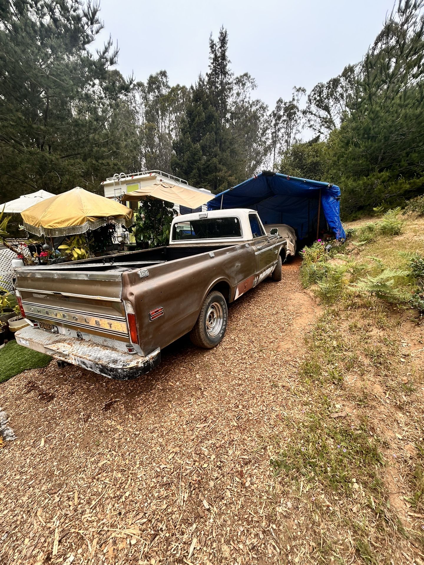 1970 Chevrolet C-10