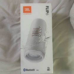 JBL Flip 6