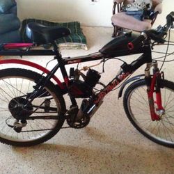 Bi-peddle