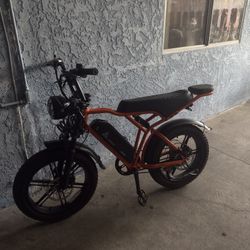 TST E Bike 