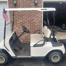 Gas Powered Golf Cart 2012. 