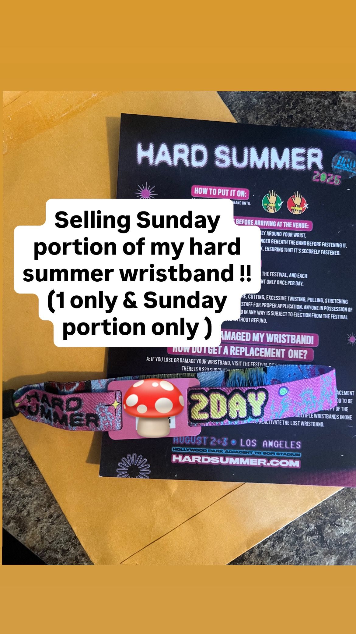 Hard Summer 2025 ( Sunday Portion Admission Wristband ) 