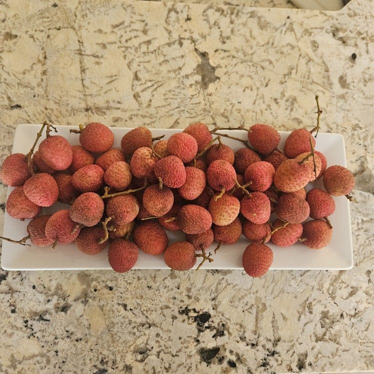 Lychee