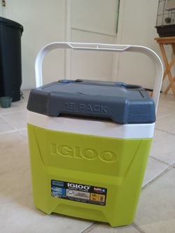 Igloo Small cooler  (12 quarter)
