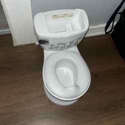 Potty