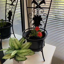 Plant Stand Metal Chair  7.5” with Live Red Impatient & Artificial Plant