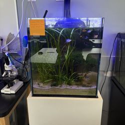 20 gallon all-in-one
