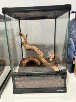 Terrarium