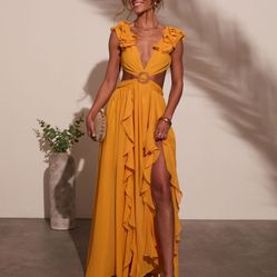 NWT VICI Dress