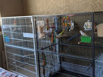 Bird cages for sale