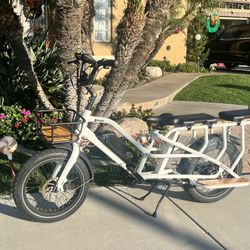 Brisa Cargo E-bike