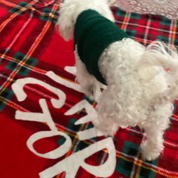 Hand Maid Washable Dog Jacket 