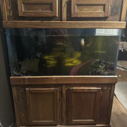 180 Gallon Acrylic Fish Tank BEAUTIFUL!!