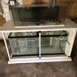 30 Gal Saltwater Aquarium w/ 55 Gal Sump